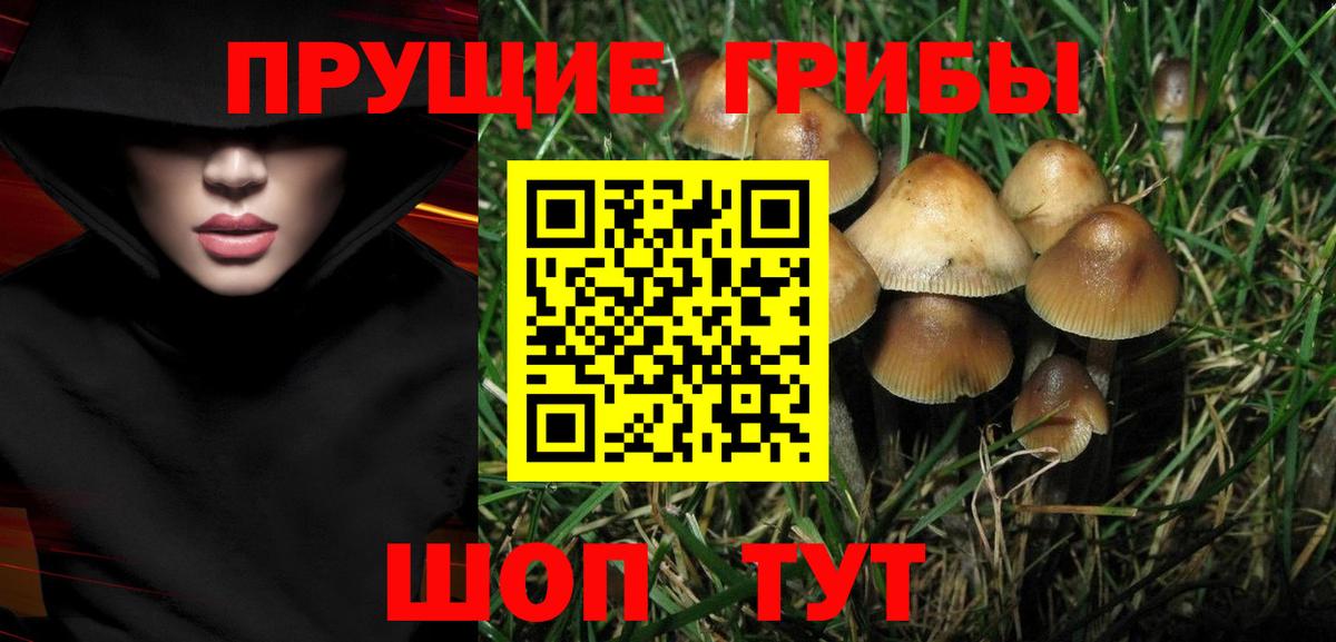 Галлюциногенные грибы GOLDEN TEACHER Качканар
