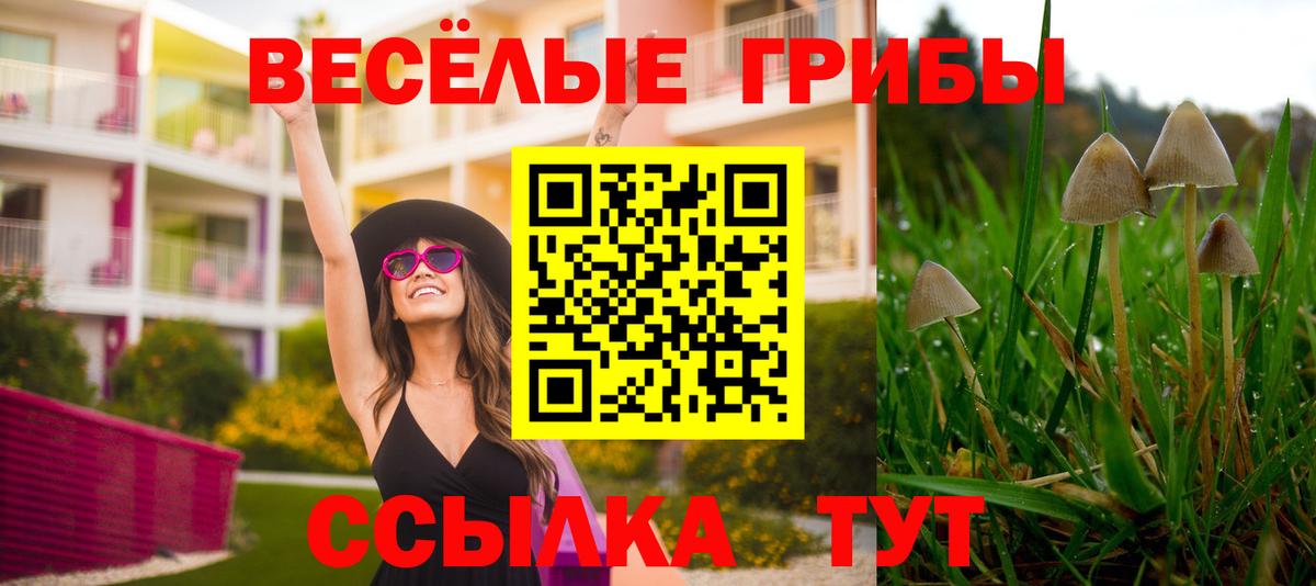 Качканар  Галлюциногенные грибы MAGIC MUSHROOMS  Вход с VPN 